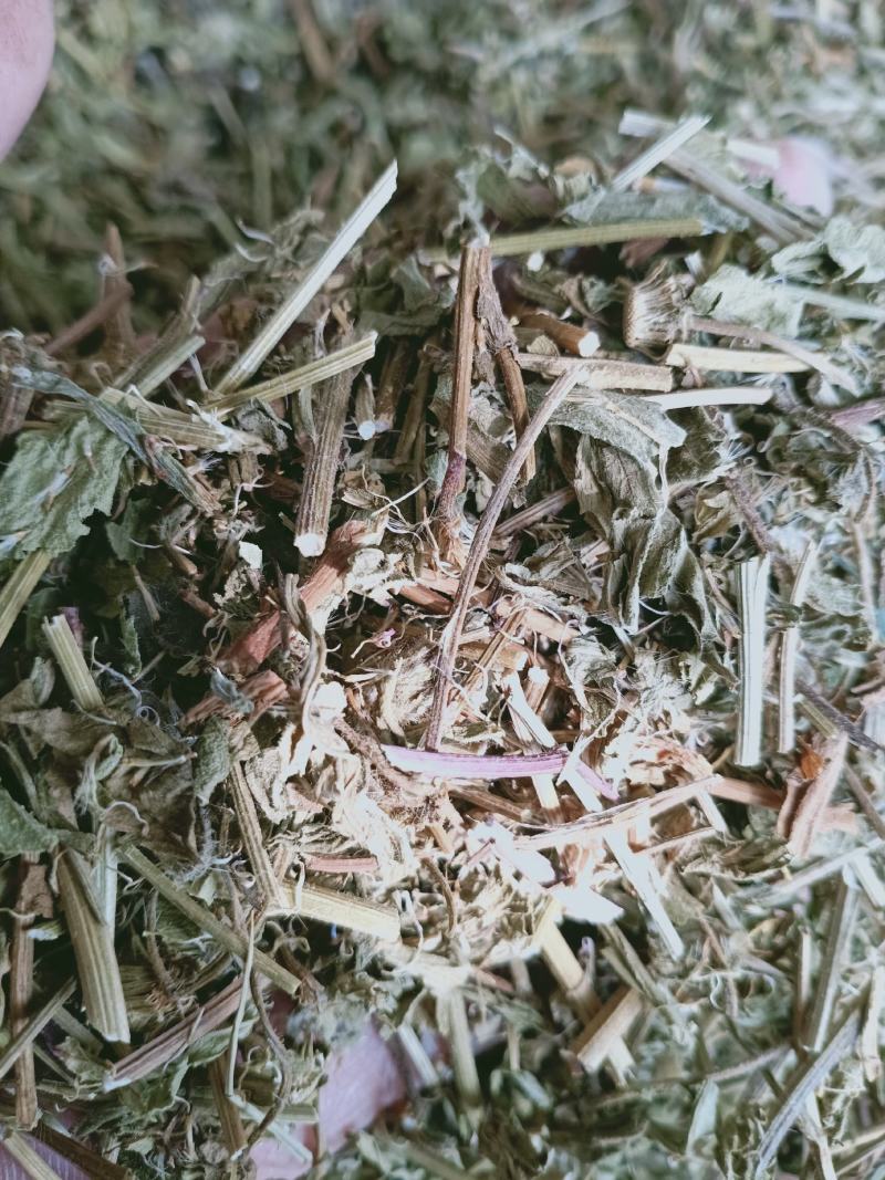 灯盏细辛，灯盏花正品野生供应，经营各种中药材欢迎咨询选购