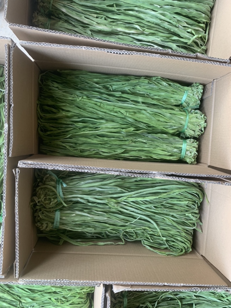 原产地直供出口干贡菜，切段贡菜苔干山蛰菜