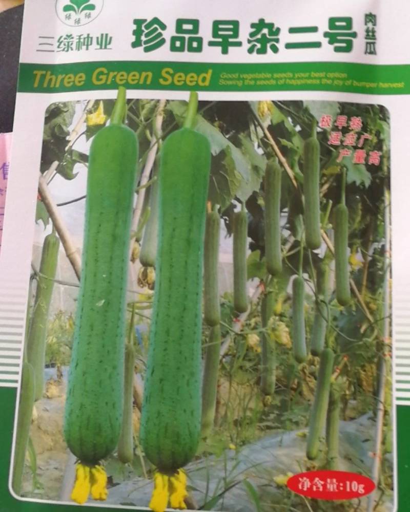 珍品早杂二号肉丝瓜，极早熟适应广产量高。