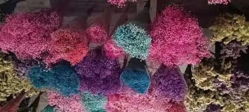 云南满天星永生花干花花束批发基地直发真花客厅摆设