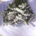 云南满天星永生花干花花束批发基地直发真花客厅摆设