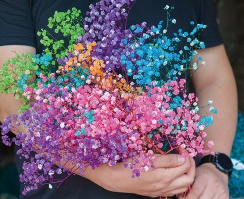 云南满天星永生花干花花束批发基地直发真花客厅摆设