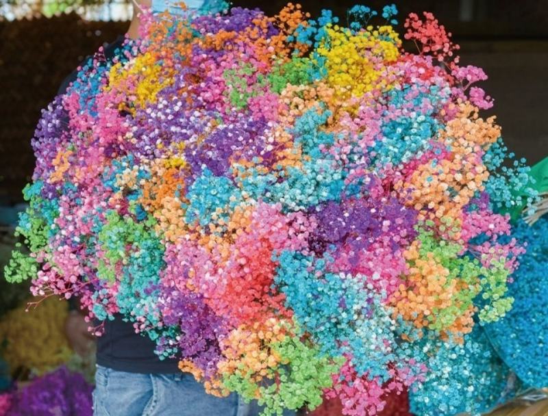 云南满天星永生花干花花束批发基地直发真花客厅摆设