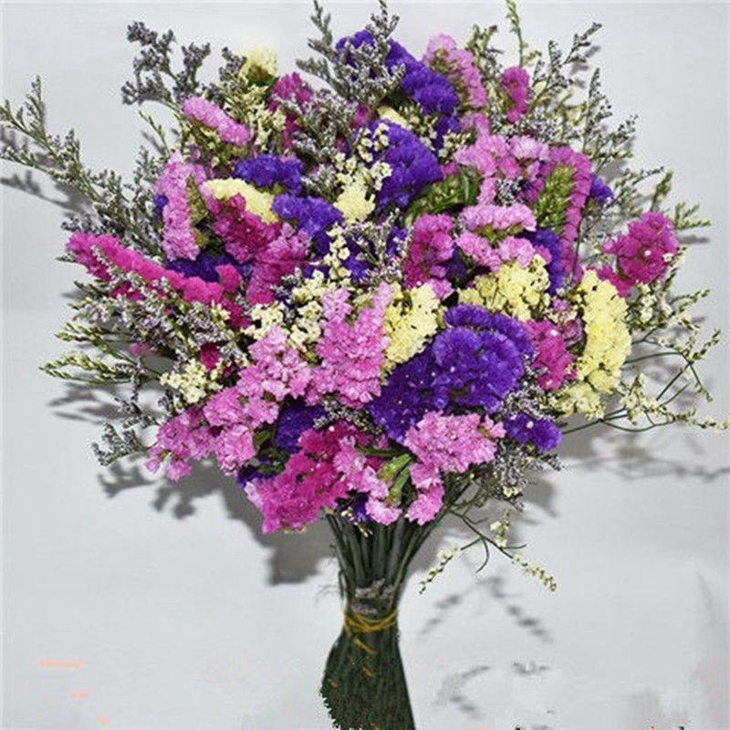 云南满天星永生花干花花束批发基地直发真花客厅摆设