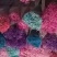 云南满天星永生花干花花束批发基地直发真花客厅摆设