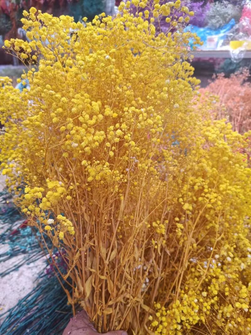 云南满天星永生花干花花束批发基地直发真花客厅摆设