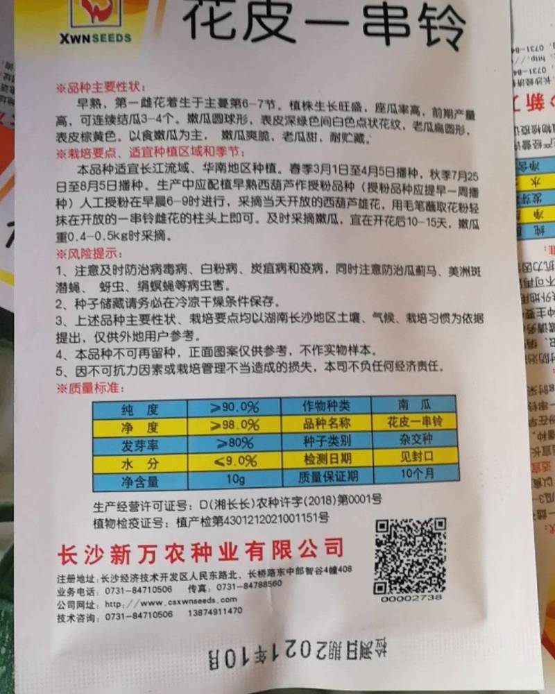 花皮一串铃小南瓜，早熟座瓜率高表皮深绿色有点白色的花纹。