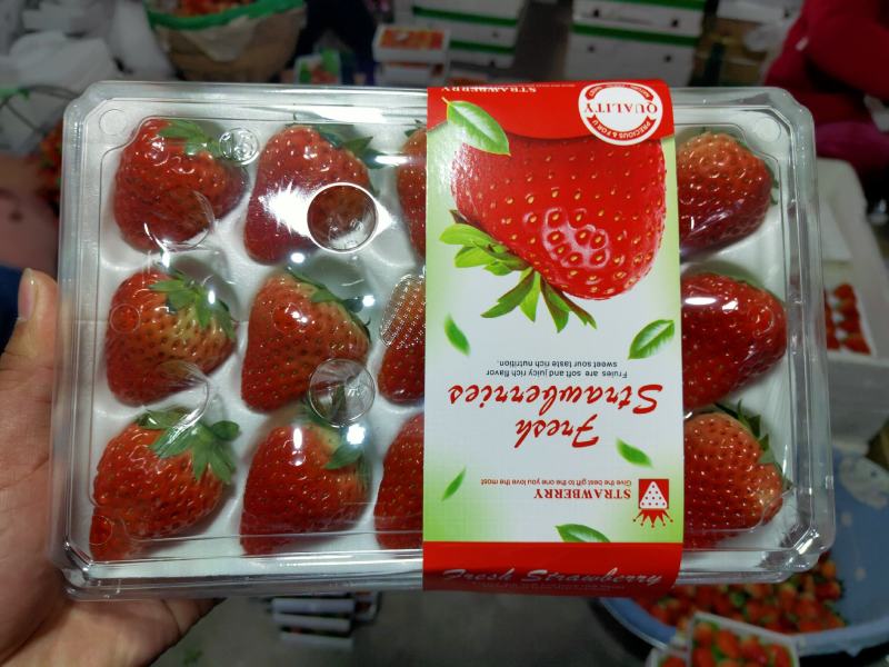 长丰红颜草莓专业代办承接全国各地客商老板