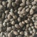 胖大海药食两用泡水喝圆果大粒一斤起包邮