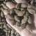 胖大海药食两用泡水喝圆果大粒一斤起包邮