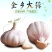 山东金乡新干蒜头紫白皮干蒜大蒜头产地批发10斤装多省包邮
