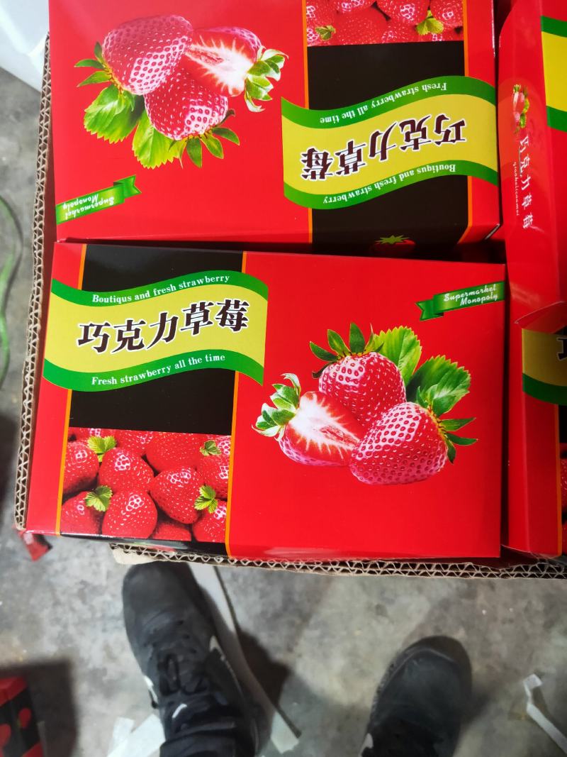 长丰红颜草莓专业草莓代办承接全国各地老板收购