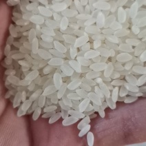 鱼台荷香大米