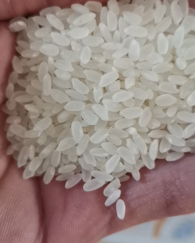 鱼台荷香大米