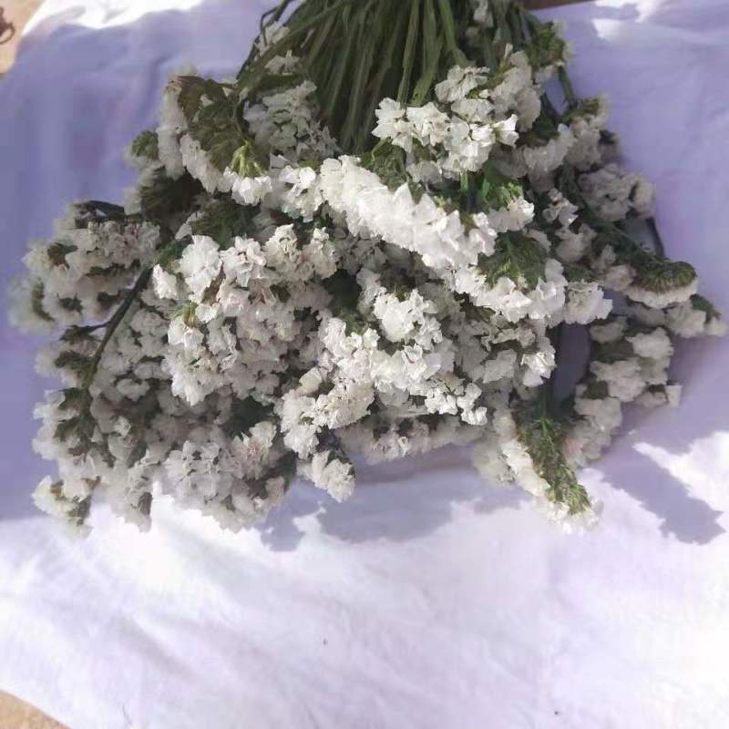云南满天星永生花干花花束批发基地直发真花客厅摆设