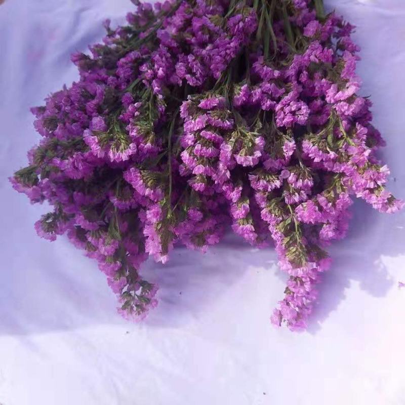 云南满天星永生花干花花束批发基地直发真花客厅摆设
