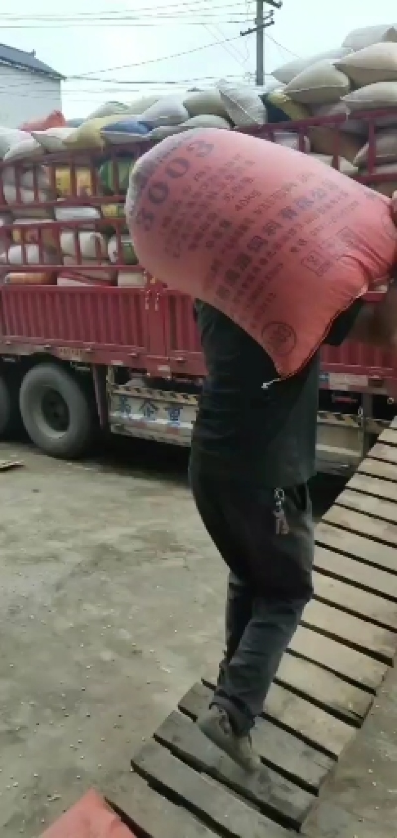 云南铁核桃，，一手货源，需要的老板联系，支持线上交易