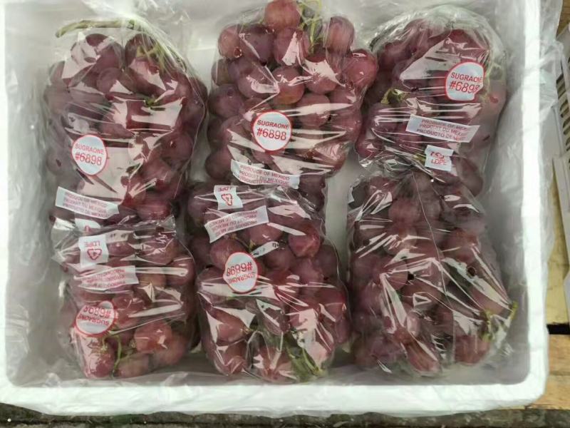 大量供应优质精品红提