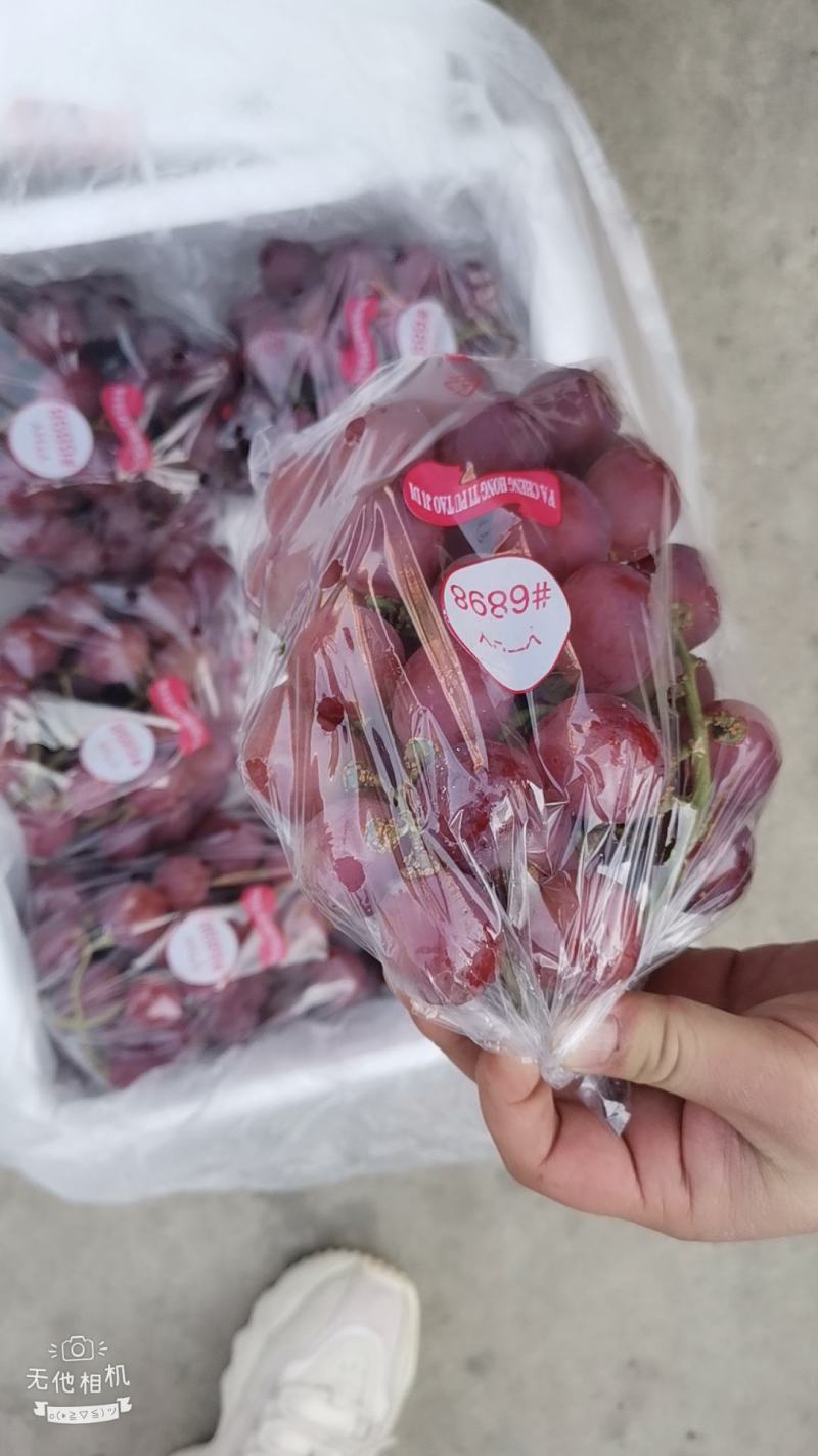 大量供应优质精品红提