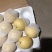 【鸭梨】河北水晶鸭梨，精品梨子产地直发价格便宜对接全国