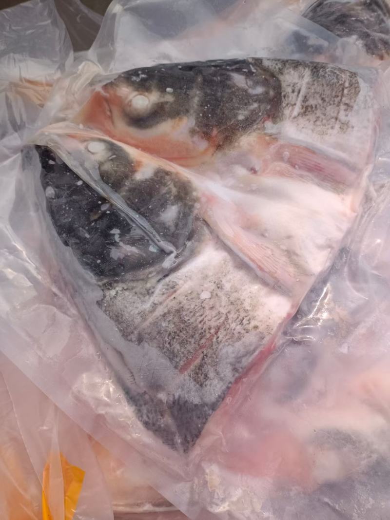 液氮冻花莲鱼头