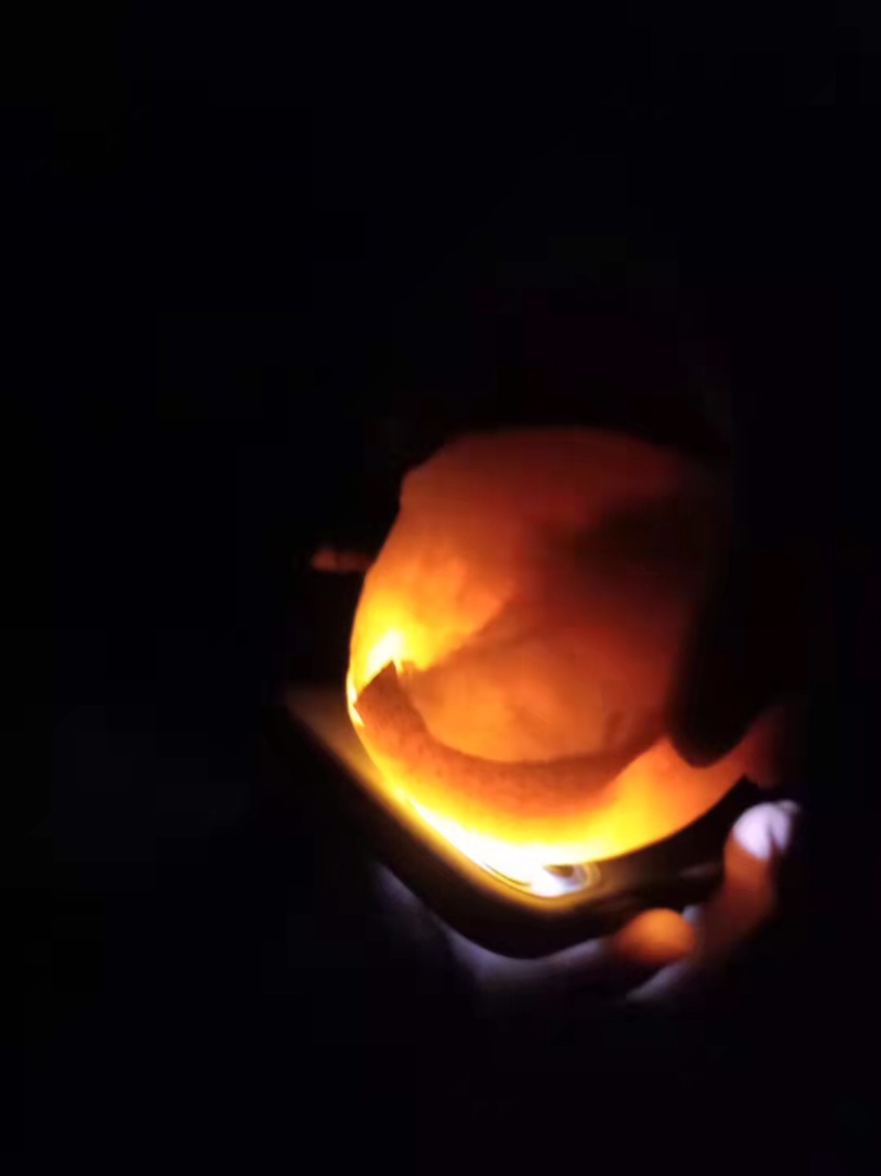 秋月梨