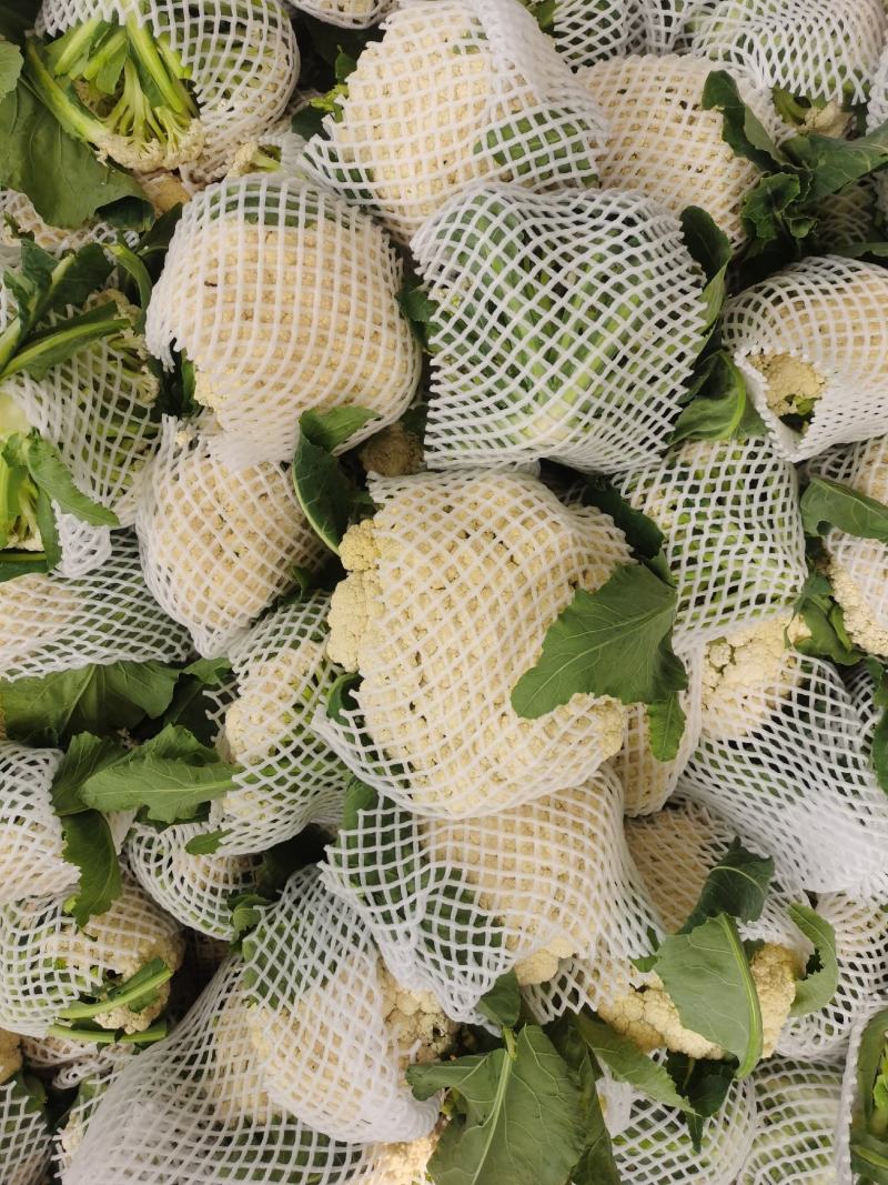 【菜花】精品有机花菜开封花菜小米粒量大从优