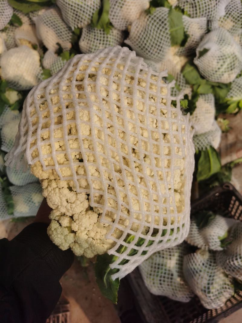 【菜花】精品有机花菜开封花菜小米粒量大从优