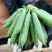 长寿仁豌豆