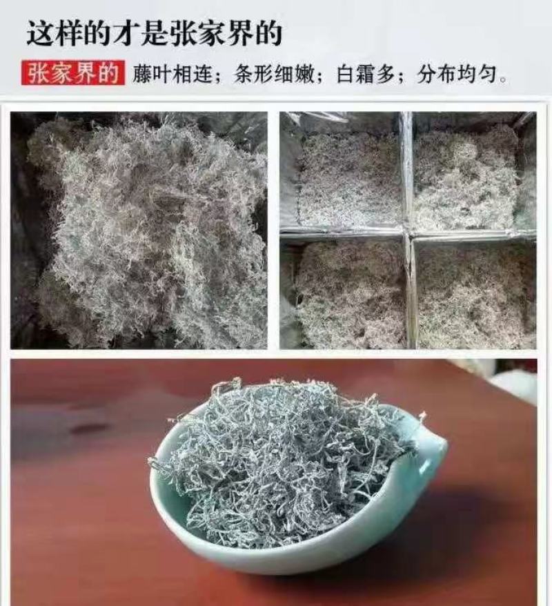 高山莓茶苗藤茶苗，采嫩芽做莓茶，栽苗绿化遮阳，现挖保湿