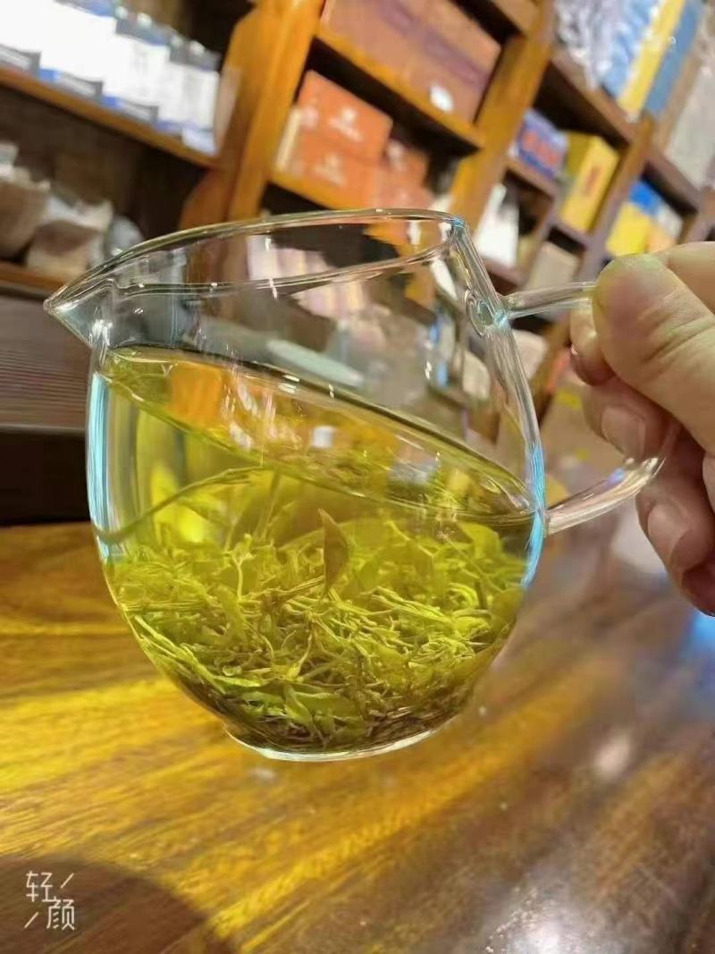 高山莓茶苗藤茶苗，采嫩芽做莓茶，栽苗绿化遮阳，现挖保湿