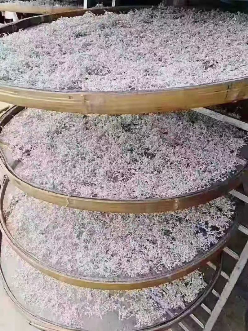 高山莓茶苗藤茶苗，采嫩芽做莓茶，栽苗绿化遮阳，现挖保湿