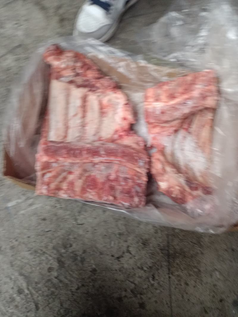 国产母猪前排