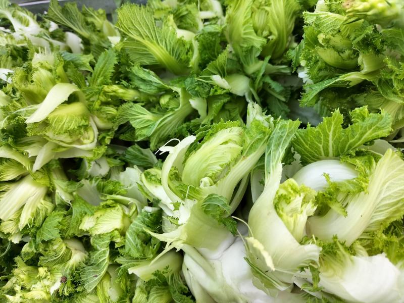 精品儿菜，万亩基地，大量上市，保证质量，代发全国。
