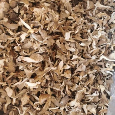 干平菇，食用菌，自然晾干，烘干，品种齐全