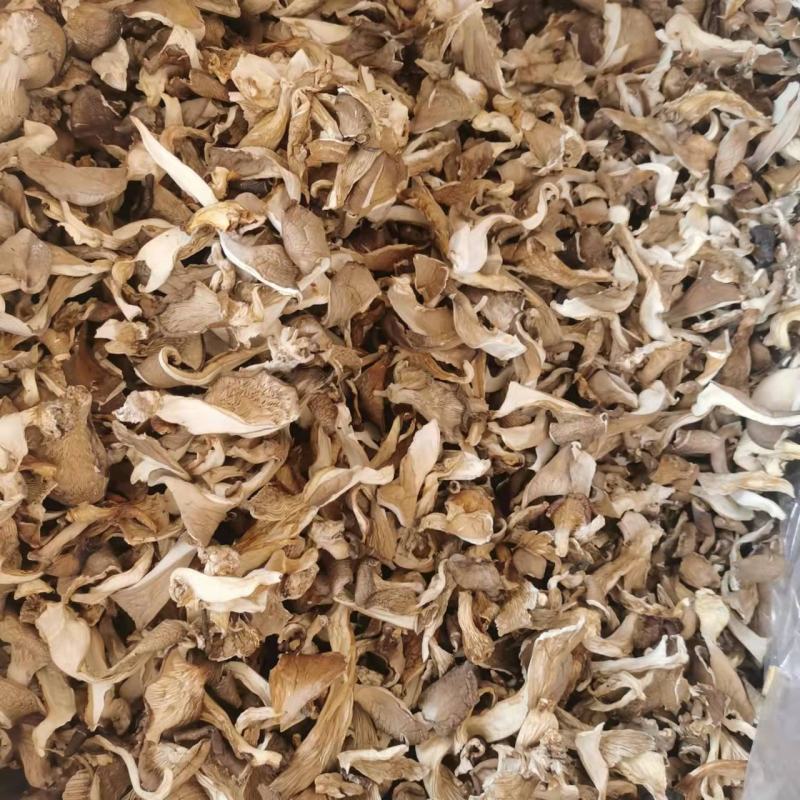 干平菇，食用菌，自然晾干，烘干，品种齐全
