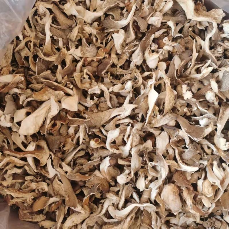 干平菇，食用菌，自然晾干，烘干，品种齐全