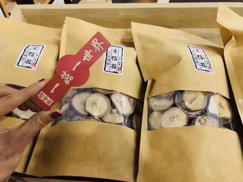 【场地优选】庆元香菇薄菇中国香菇地理标志产