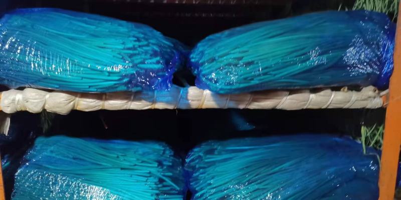 红帽蒜苔长年供应金乡蒜苔及农副产品的储存，加工等业务