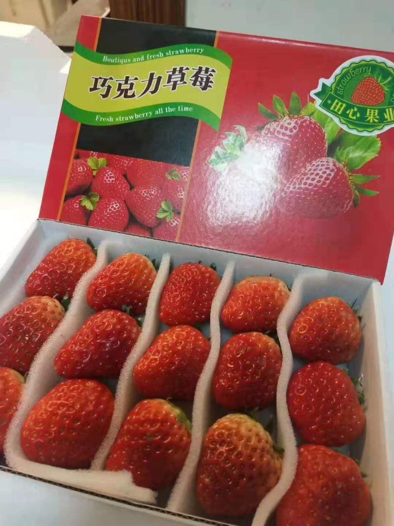 长丰红颜草莓专业代办承接全国各地采购商客商老板