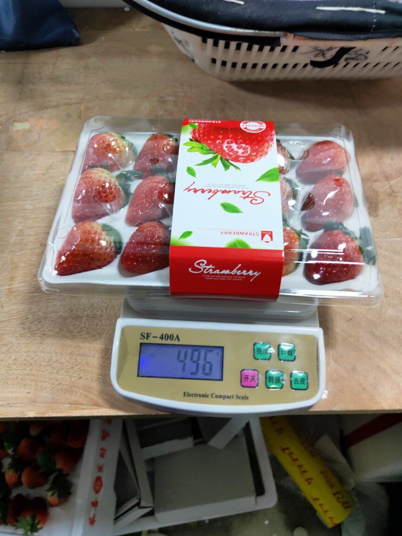 长丰县精品红颜草莓大量供应货量充足品质好口感香甜
