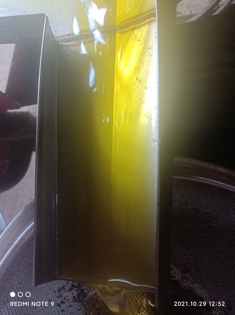 茶籽大别山区高山小籽，中小籽