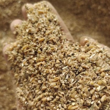 8个粮碎小麦