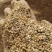 8个粮碎小麦