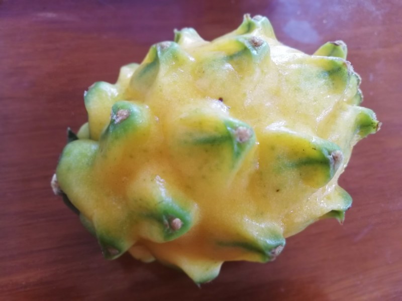 燕窝果火龙果麒麟果黄金果