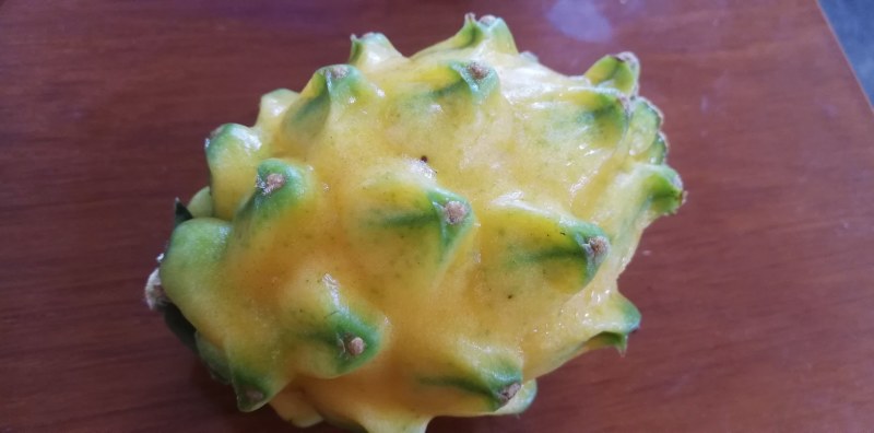 燕窝果火龙果麒麟果黄金果