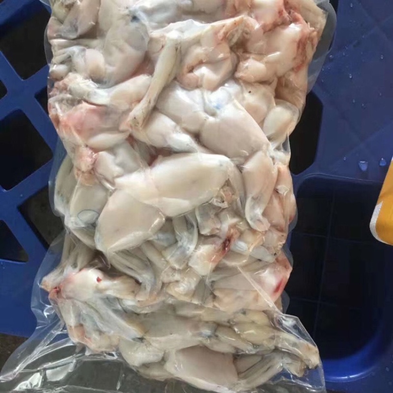 无冰衣新鲜现杀牛蛙肉牛蛙肉去皮去内脏去脚趾批发