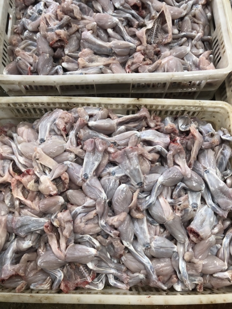 无冰衣新鲜现杀牛蛙肉牛蛙肉去皮去内脏去脚趾批发
