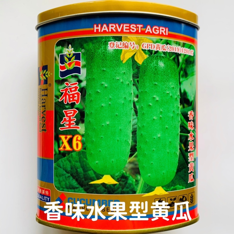 水果黄瓜种子香味浓郁甜脆嫩瓜菜基地用种春秋黄瓜种籽