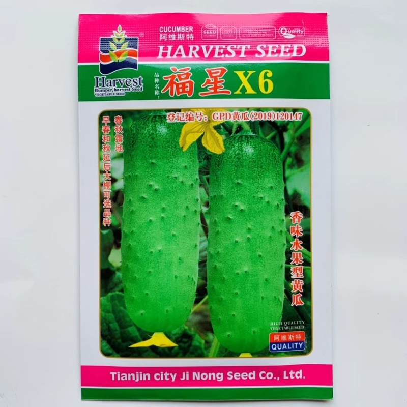 水果黄瓜种子香味浓郁甜脆嫩瓜菜基地用种春秋黄瓜种籽